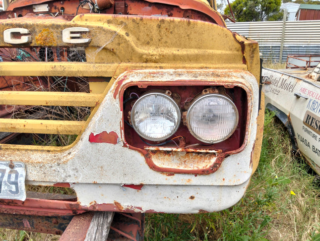 Dodge Passenger Dual Lights
